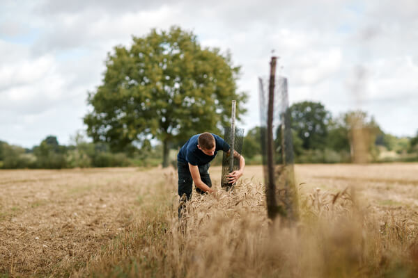 Agroforesterie